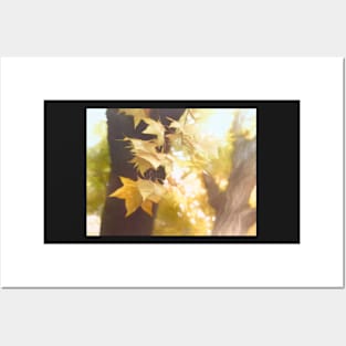 Autumn Leaves Posters and Art